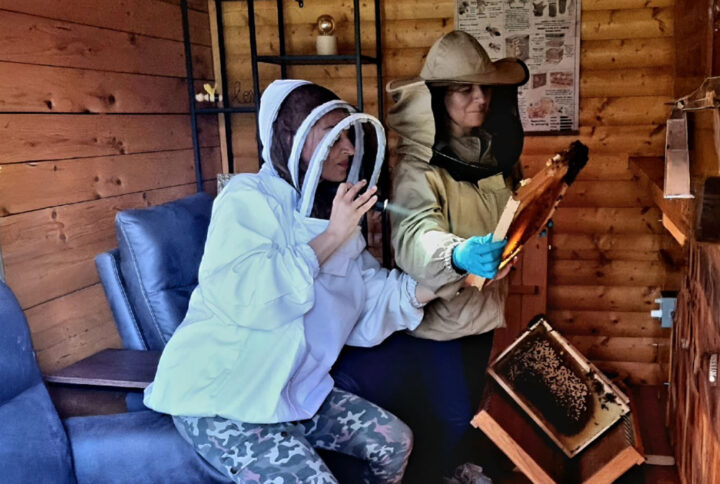 Pčelarenje iz fotelje: Intervju s Majom